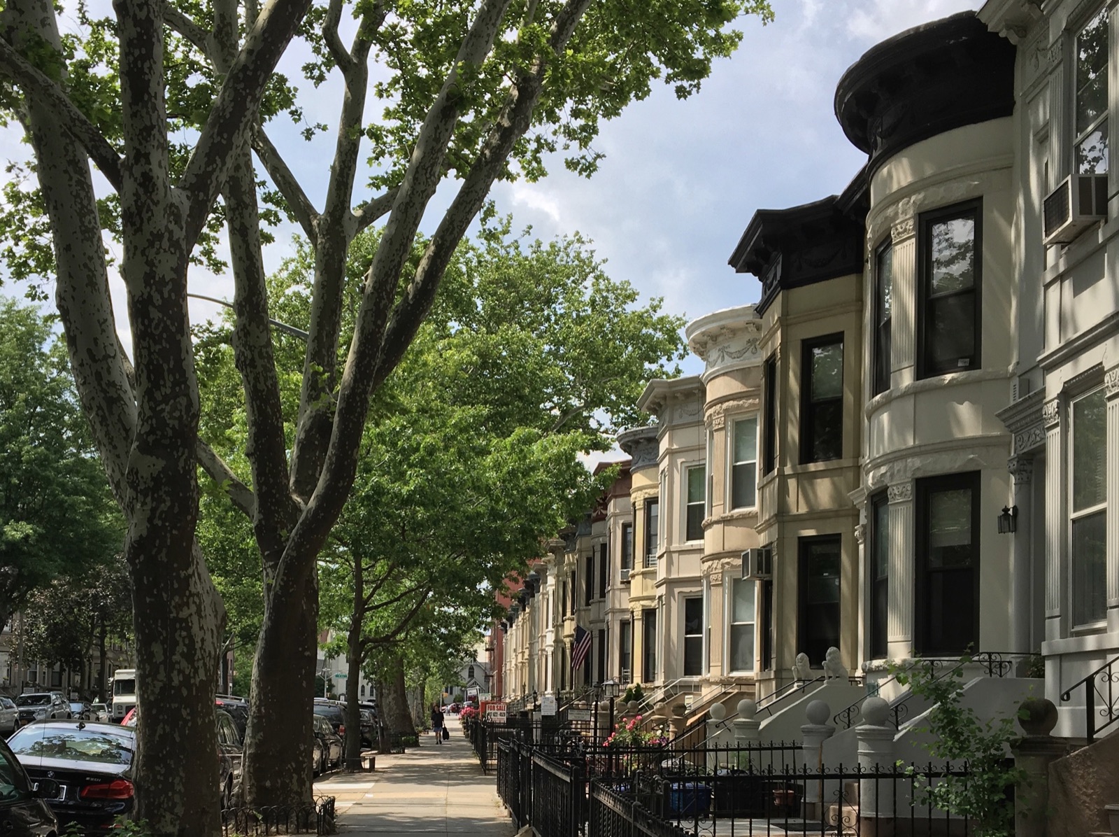 Bay Ridge